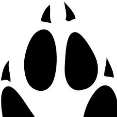 Teacher | Writer | Infosec trainer | ex-Army SigInt.
I work with journalists on investigations into data/surveillance/hack stuff, walk in the hills and write.