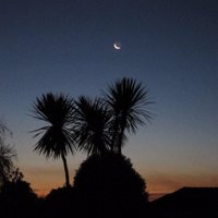 Bobnz (@bobhorowhenua) 's Twitter Profile