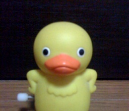 Zeng3