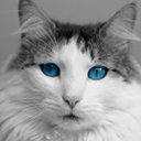 SKY 0061 (@0061Sky) Twitter