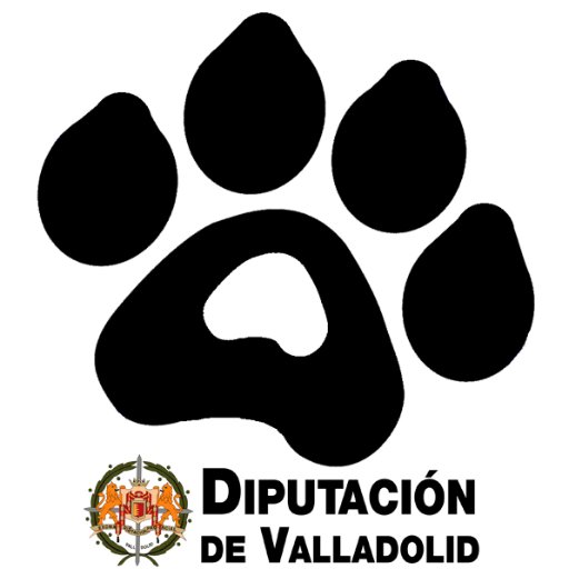 Servicio de recogida de animales abandonados de la Diputación de Valladolid. Contacto: 659 68 15 84