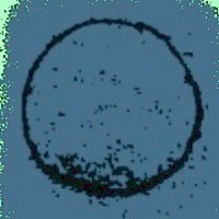 Pom Pom (@pompomlit) 's Twitter Profile