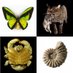 Natural Sciences NMS (@natscinms) Twitter profile photo Natural Sciences NMS (@natscinms) Twitter profile photo