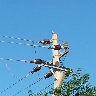 MalokoMapha's profile picture. papa Tiego