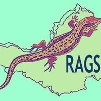 Somerset Reptiles (@ragsomerset) 's Twitter Profile