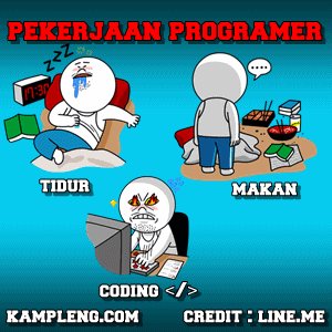 Programer Jomblo Profile