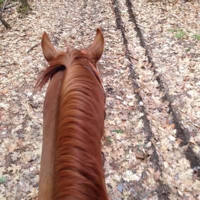 captainyukey's profile picture. 