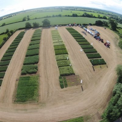 Agronomy company covering NE England, providing expert field walking advice and precision agriculture tools for today and the future.