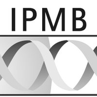 IPMB (@ipmb_hd) 's Twitter Profile