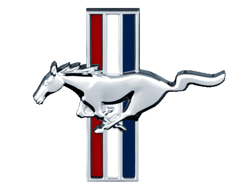 mach1brothers's profile picture. love the mustang、Fender & Ford