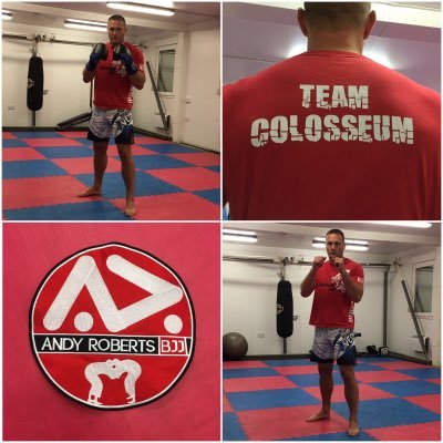 Haslemere Surrey, Personal Trainer, Body Guard, Director BIG DOGZ Fight Wear, RIP Fightwear and a Coach in K1 Kickboxing, Karate and MMA and train in Bjj