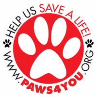 PAWS4you Rescue(@paws4you) 's Twitter Profile Photo
