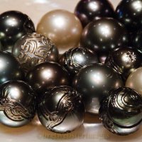 black pearls (@lizt461tait) 's Twitter Profile