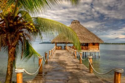 Armando34605221's profile picture. ★♦♦♪