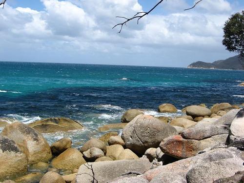 AustFishing's profile picture. For everything you need to know about fishing Australia's great waters!