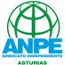 ANPE ASTURIAS (@ANPEasturias) Twitter profile photo