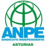 ANPEasturias's profile picture. Sindicato Independiente de Docentes de la Enseñanza Pública