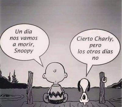 MarianellaMnde2's profile picture. 