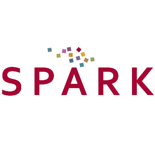 SPARK Stanford