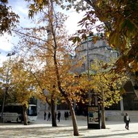 Murat Yıldız (@muratfahri) 's Twitter Profile