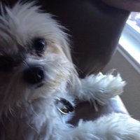 Hope4Most (@lightwings007) 's Twitter Profile