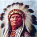 Sitting Bull (@Sitting_Bull__) Twitter profile photo