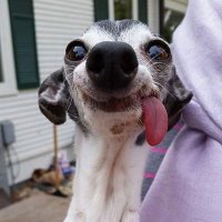 Maddog4man (@jam4man3) 's Twitter Profile