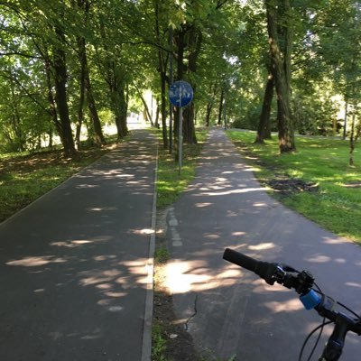 mg_sergio's profile picture. 