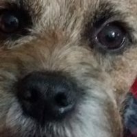 Steve Horscroft (@shorscroft68) 's Twitter Profile