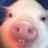 TanyaJimenez143's profile image