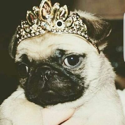 johanmartola's profile picture. 