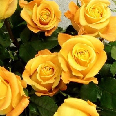 あややさんのプロフィール画像