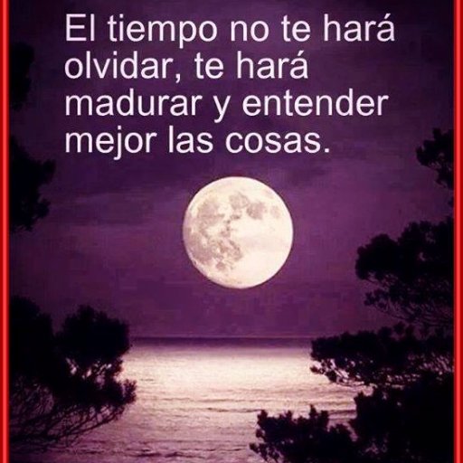 ka41426091's profile picture. 