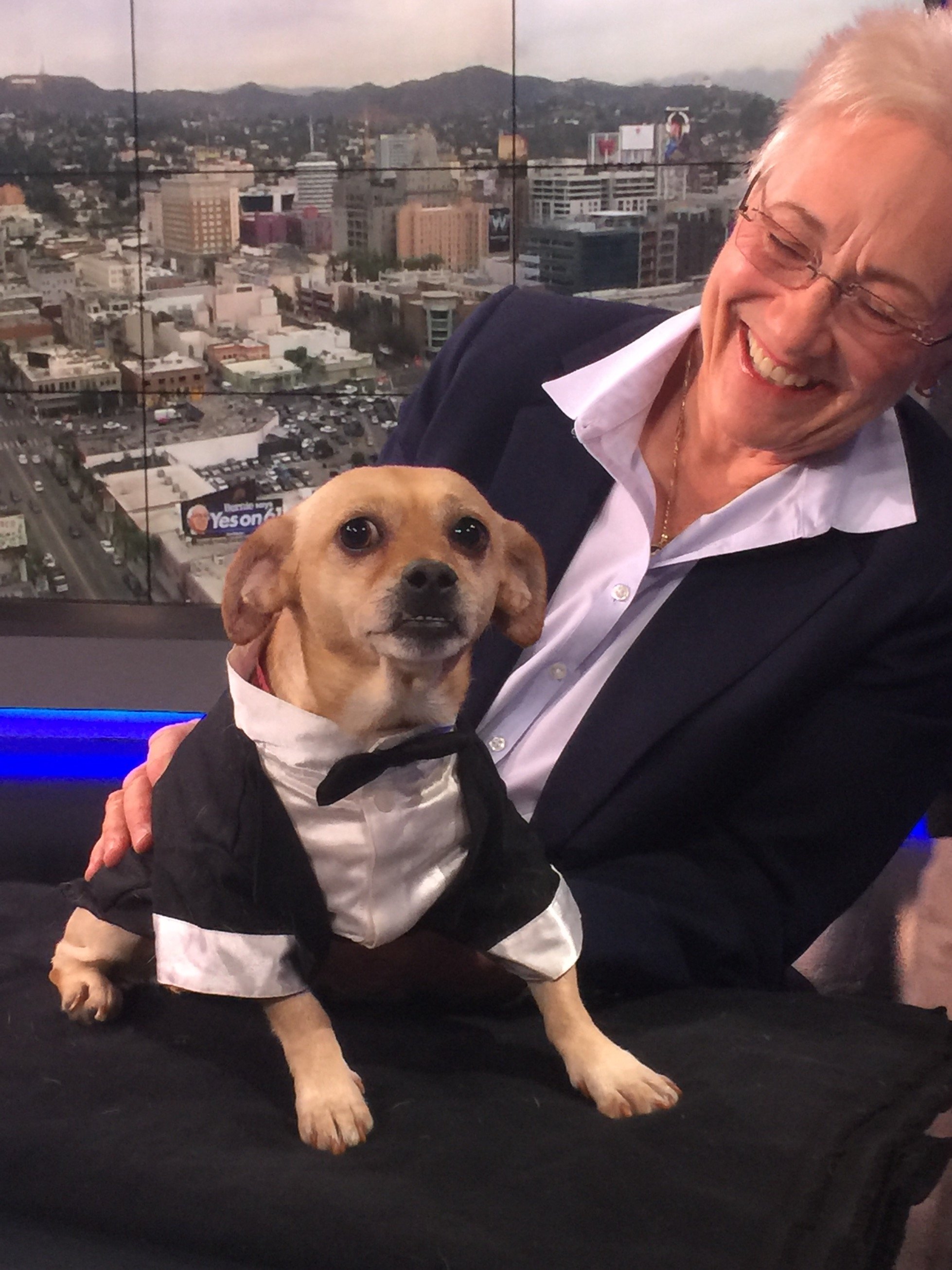 Retired General Manager for Los Angeles Animal Services.
