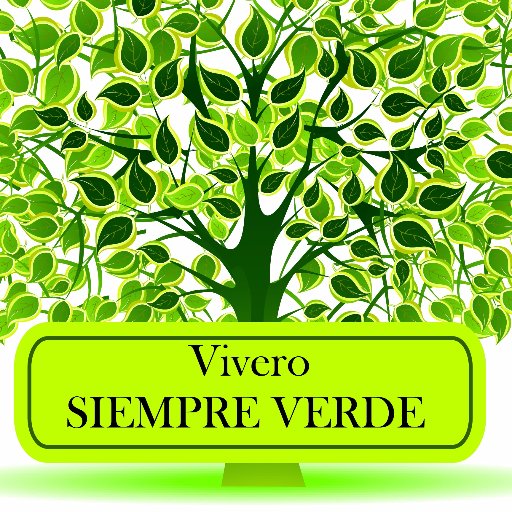 Somos una empresa orgullosamente agrícola, cuyo fin es producir y comercializar plantas ornamentales
VIVERO SIEMPRE VERDE 
Cultivando Vida
Sembrando Esperanza