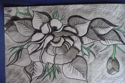 Freealeekc__'s profile picture. 