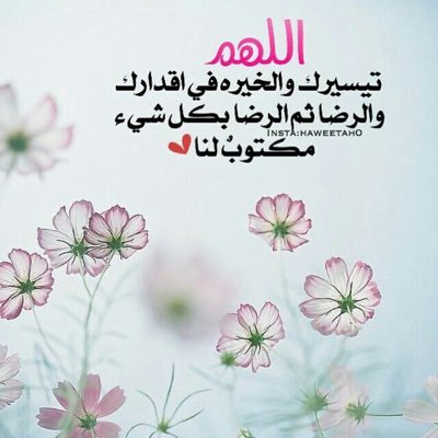 ms133_'s profile picture. #اعلانات #تسويق #دعايه_واعلان لدعم الحسابات التجارية ونشر البضائع والتسويق والإعلان بأقل الاسعار (لتواصل خاص ).. تبادل رتويت 5/5 ✋