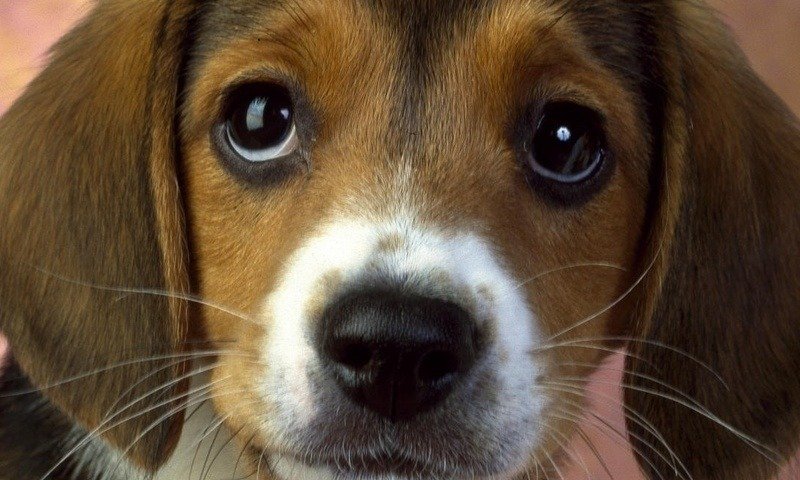 yun_ol's profile picture. 