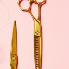 EIffS5UpTcQgkZg's profile picture. 