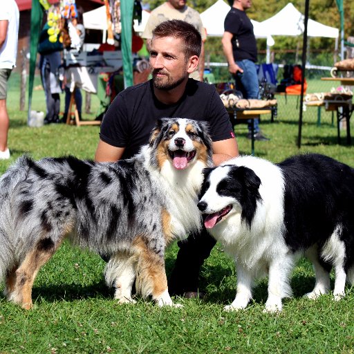 ConcialdiM's profile picture. 