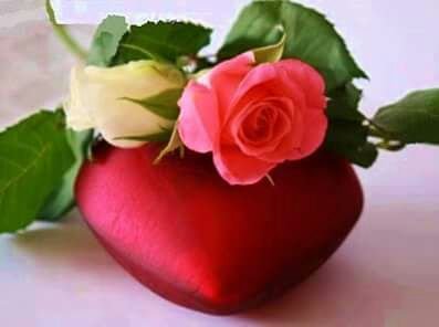 vivianqueiroz20's profile picture. a felicidade existe pra quem acredita nela ,então procure seus objetivos corra insista e pessista e nao dessista bjs tou aki adoro dar conselhos sentimental.