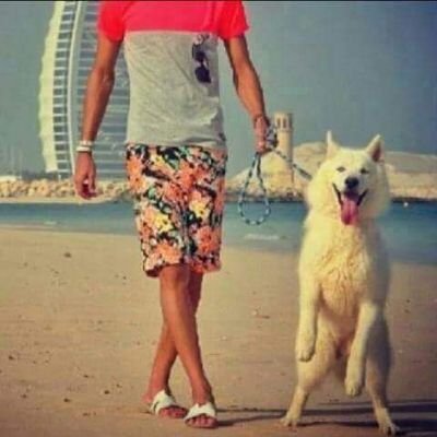 PeepTJyOz0c5Pdv's profile picture. موسيقى موسيقى موسيقى