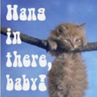THE Randy Scott (@iphonerscott) 's Twitter Profile
