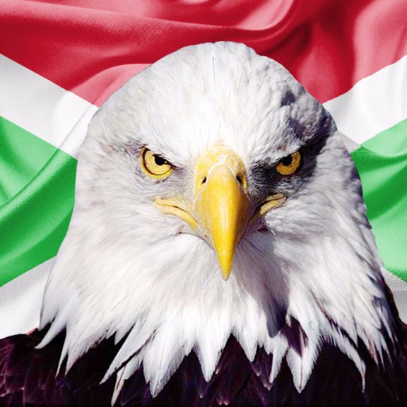 Naitre_Regner's profile picture. 