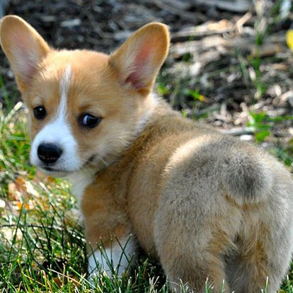 GottaSwedeTooth's profile picture. 🇬🇧 🇸🇪 🐧 Eternal optimist 🍀 Lover of cats, dogs & cheeky monkeys 🍀 cheap plonk enthusiast 🍀 caffeine & stationery addict 🍀 self-proclaimed movie buff. 🇸🇪 🇬🇧 🎄💞