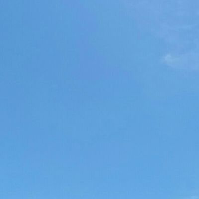 mercadorota's profile picture. 