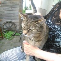 Ute Brehmer (@ute_brehmer) 's Twitter Profile