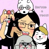 はる(な) (@haru_wacci) 's Twitter Profile