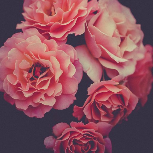 Lookingfor_BC's profile picture. 푸른요람 조사계