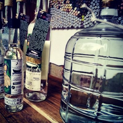 MezcalRajabule's profile picture. 